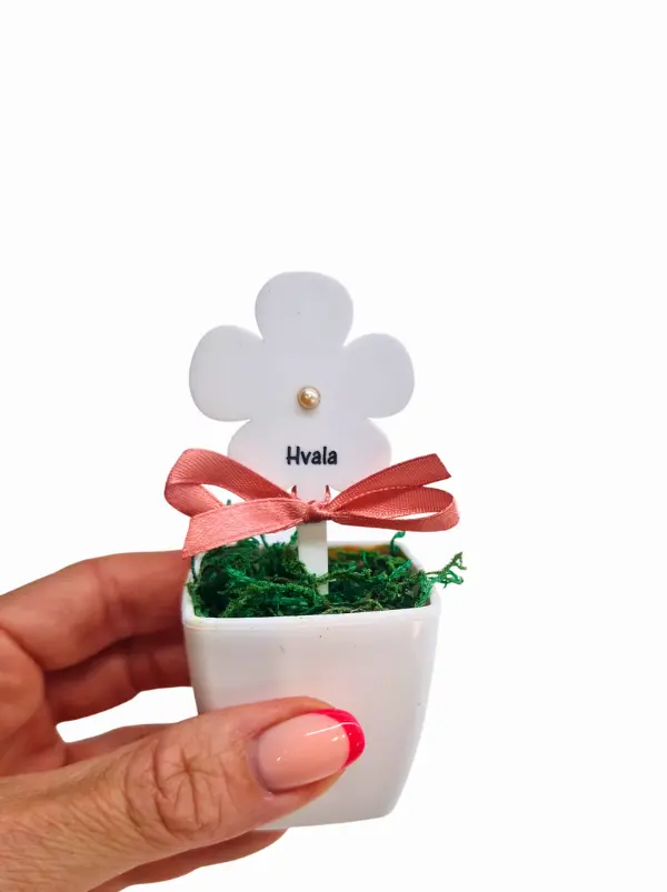 bela rozica zanjo z napisom hvala_tinadesign